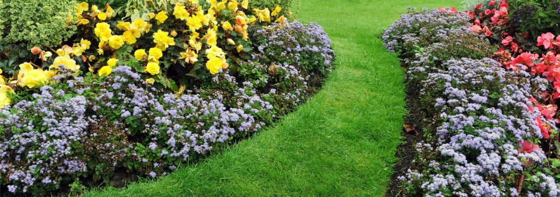 landscaper Melbourne