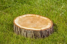 stump removal Essendon