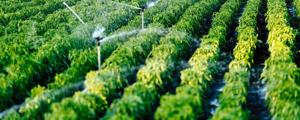 garden irrigation systems