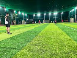 artificial cricket turf Ballarat