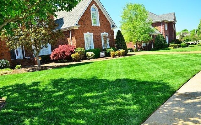 landscapers Davidson