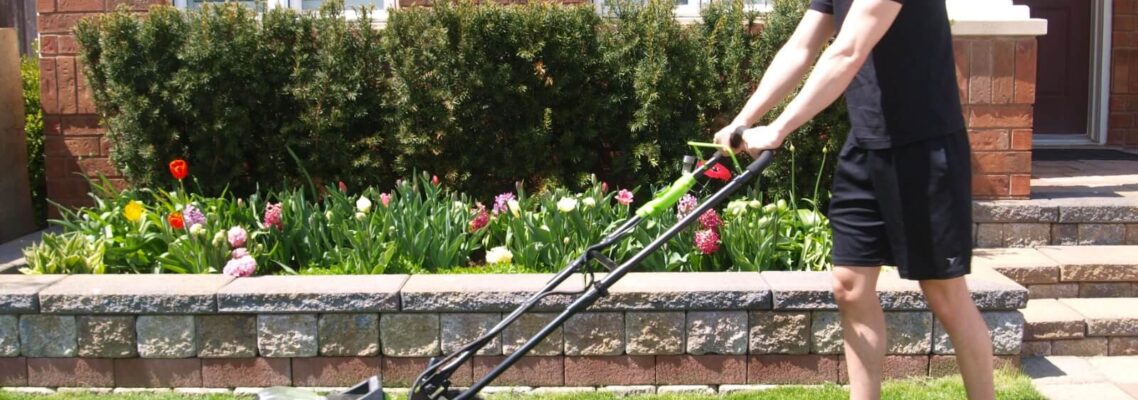lawn mowing Bayswater