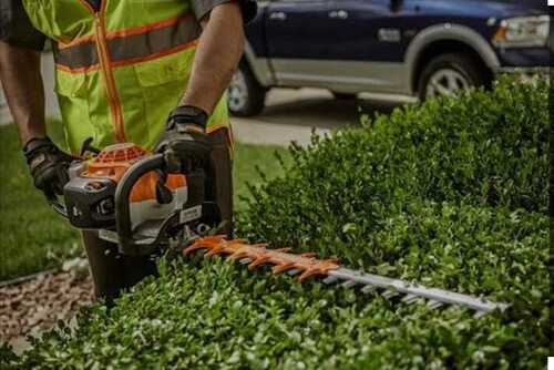 hedge trimming Brisbane