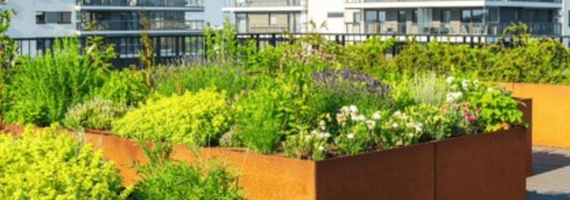 expert landscaping services Melbourne