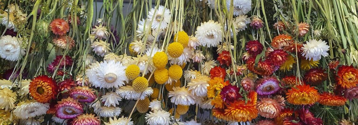 dry flowers Melbourne