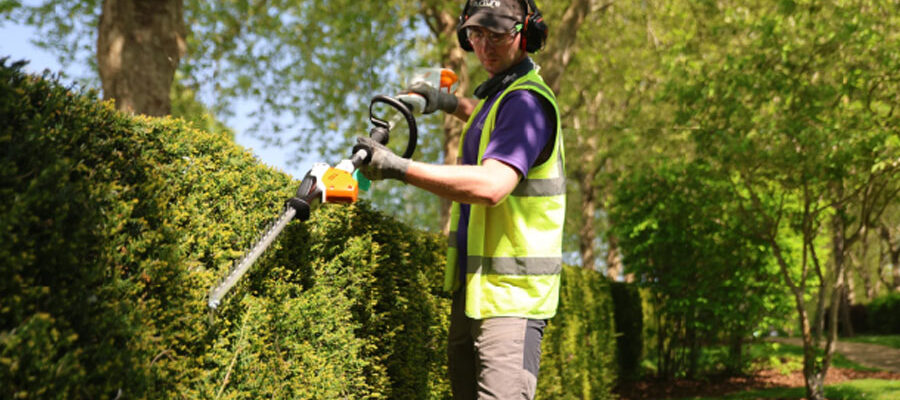 hedge shaping experts